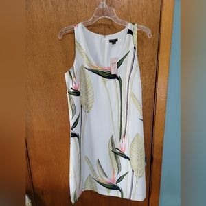 Ann Taylor Factory shift dress, 6P, creamy  white/ bird of paradise flower print